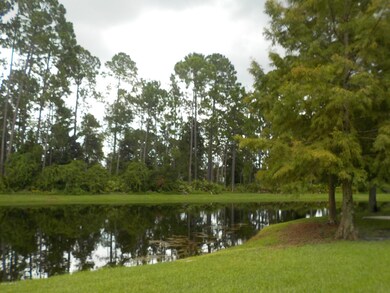 2200 Marsh Hawk Ln unit 415, Fleming Island, FL 32003 - photo 3