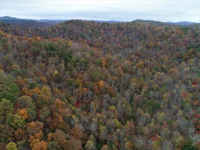 9999 Jarvis Branch Rd, Barbourville, KY 40906 - photo 7