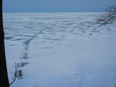 FROZEN LAKE