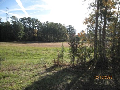 30622 Martens Rd, Tomball, TX 77375 - photo 6