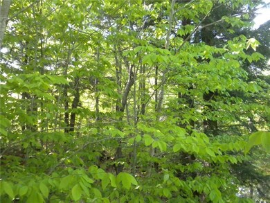 171 Beaver Dam Rd, New Gloucester, ME 04260 - photo 6