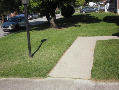 Front Yard