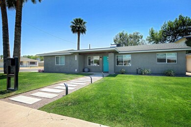 Mid-Century Modern Lines