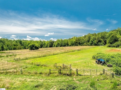 955 Bramlett Rd, Laurens, SC 29360 - photo 4