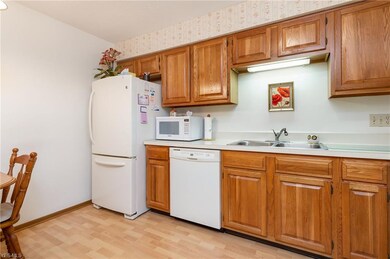 25026 Mill River Rd, Olmsted Falls, OH 44138 - photo 5