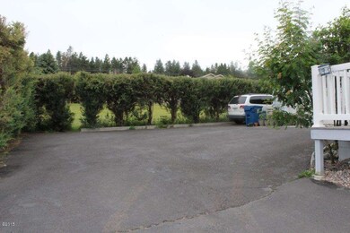 06 privacy shrubs