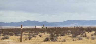 0 Handley Rd unit OC25004576, Landers, CA 92285 - photo 5