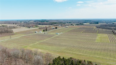 6258 Hill Rd, Sodus, NY 14551 - photo 2