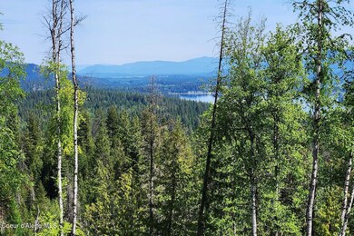 Lake Views