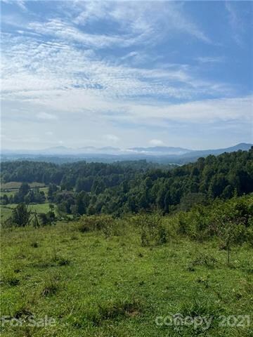 000 Don Felmet Rd, Leicester, NC 28748 - photo 3