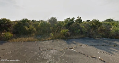 2854 Overland Ct SW, Palm Bay, FL 32908 - photo 2