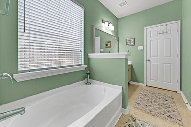Primary Bath Tub