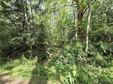 0 XXX N Triton Heights Rd, Lilliwaup, WA 98555 - photo 4