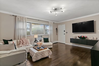 2800 Madison Ave unit 1B, Bridgeport, CT 06606 - photo 5