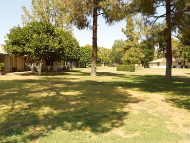 Park like back common area