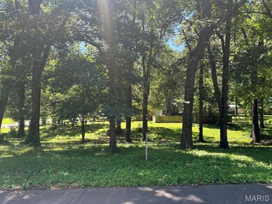 0 Lewis & Albert St unit MAR25013843, Dexter, MO 63841 - photo 3