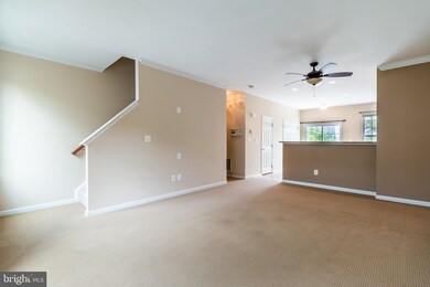 25386 Shipley Terrace, Chantilly, VA 20152 - photo 7