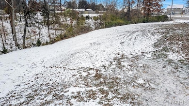 2060 Hillsboro Valley Park Rd, High Ridge, MO 63049 - photo 2