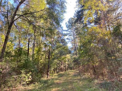 000 Kirklin Rd, Tylertown, MS 39667 - photo 7