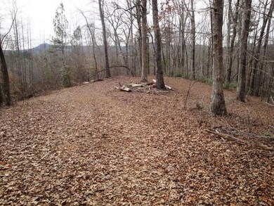 Lot Q-2 the Bear Blvd, Tamassee, SC 29686 - photo 4