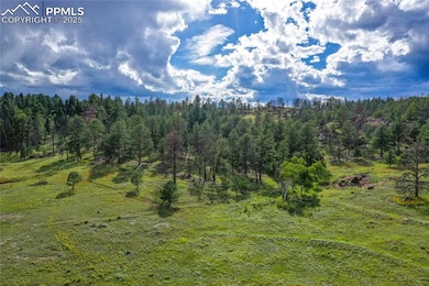 TBD Spring Valley Dr, Florissant, CO 80816 - photo 4