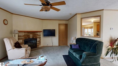 6524 E Edgar Rd, Vestaburg, MI 48891 - photo 6