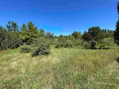 Lot 33 Weislik Ct, Charlevoix, MI 49720 - photo 5