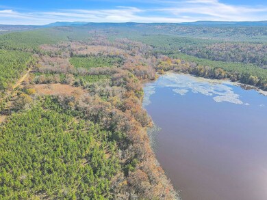 0000 Tate Rd, Booneville, AR 72927 - photo 5