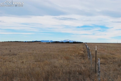 000 Berridge Rd, Yoder, CO 80864 - photo 3