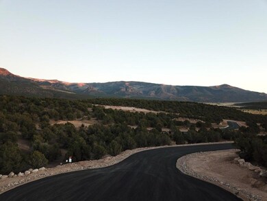 picdron2