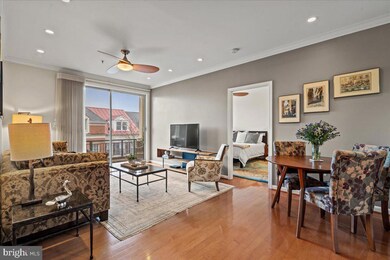 621 N Saint Asaph St unit 304, Alexandria, VA 22314 - photo 3