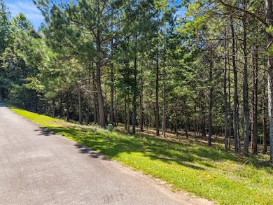 Lot 9 Mooring Line Dr, Seneca, SC 29672 - photo 4