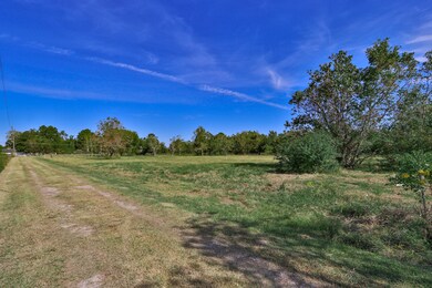 4821 County Road 424 unit 1, Alvin, TX 77511 - photo 4