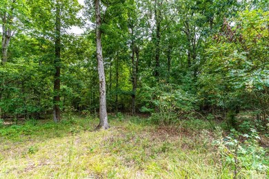 200 Acres Greene 718 and 707 Rd, Paragould, AR 72450 - photo 3