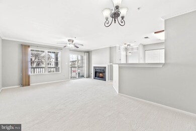 11005 Kinship Ct unit 201, Manassas, VA 20109 - photo 6