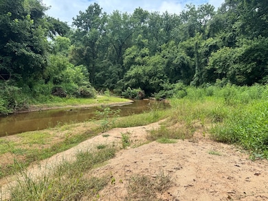 180.14 Johnson Mill Rd, Hamilton, GA 31811 - photo 5