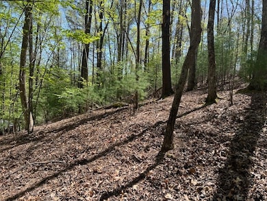 LT 3421 Hart Ct, Ellijay, GA 30540 - photo 5