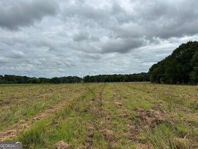 0 Popham Rd unit 10587111, Taylorsville, GA 30178 - photo 6