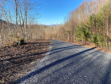 Lot 61 Hickory Nut Trail, Sylva, NC 28779 - photo 2