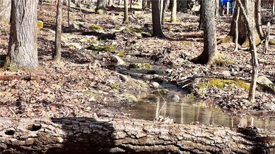 Lot 18.3 Treetops Trail, Mamakating, NY 12721 - photo 7