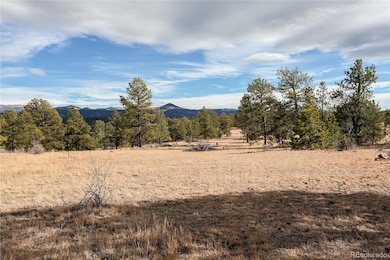 000 Twinkle Rd, Guffey, CO 80820 - photo 6