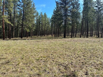 31760 Hwy 10 W, Alberton, MT 59820 - photo 4