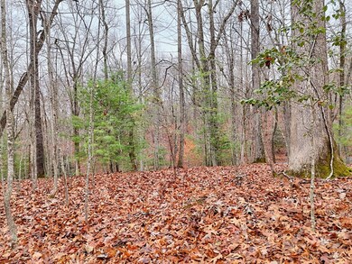 Tract 3 Wilmar Cir, Blairsville, GA 30512 - photo 5