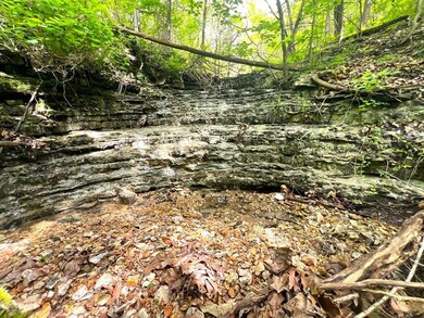 8 Acres Farm Road Sw4381, Noel, MO 64854 - photo 4