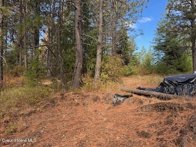 NKA Rd, Tensed, ID 83870 - photo 3