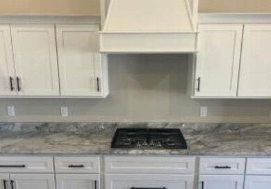 2304 Loisy Blvd, Hernando, MS 38632 - photo 4