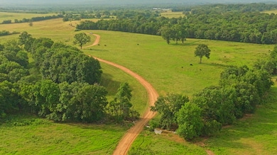 40336 E1290 Rd, McCurtain, OK 74944 - photo 2