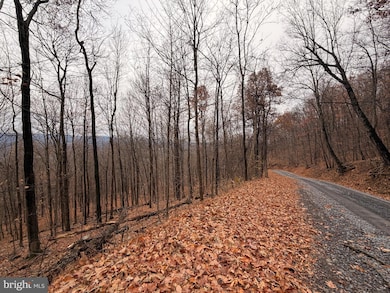 6.71 AC LOT 9 Gobbler Rd, Hedgesville, WV 25427 - photo 3