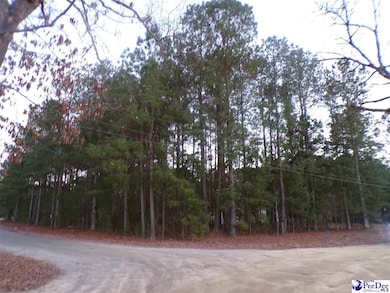 TBD New Holly & Millwood, Dillon, SC 29536 - photo 2