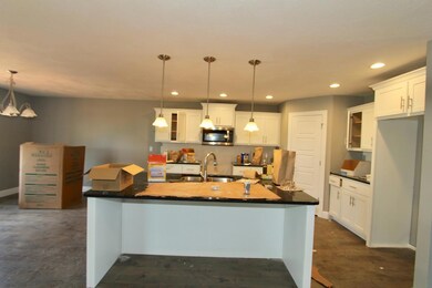 1655 E Vicksburg Passage, Republic, MO 65738 - photo 5